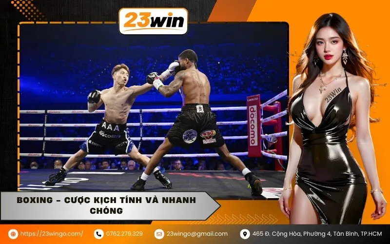 Boxing - Cược kịch tính và nhanh chóng