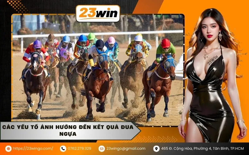 Các yếu tố ảnh hưởng đến kết quả đua ngựa