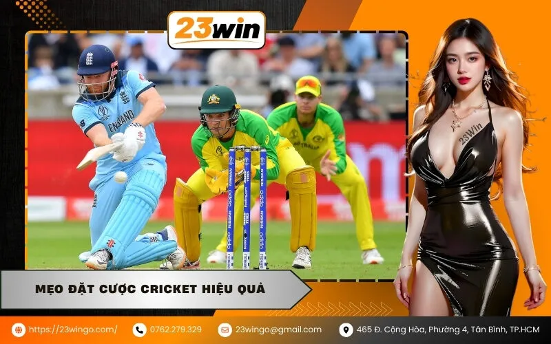 Mẹo đặt cược Cricket hiệu quả