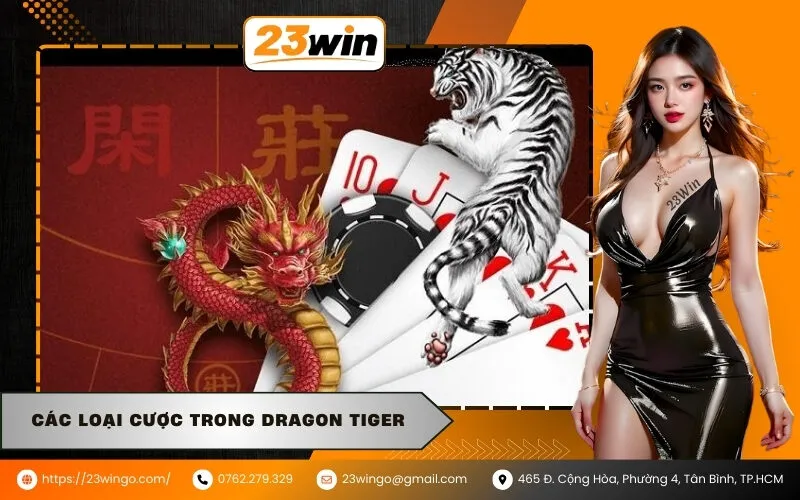 Các loại cược trong Dragon Tiger